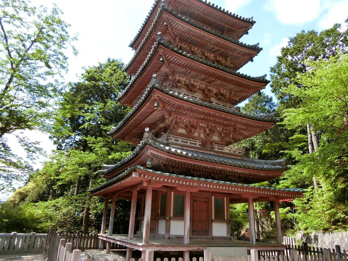画像19