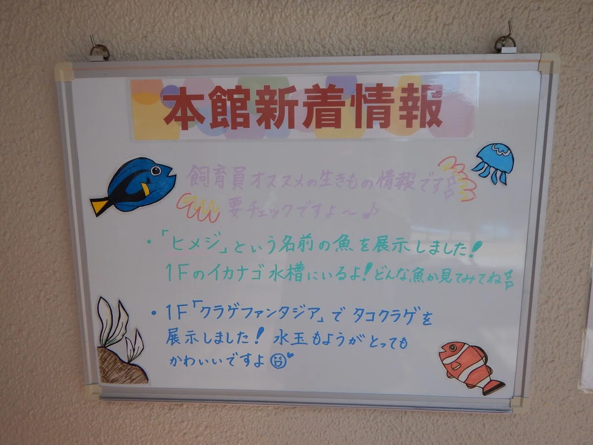 画像10