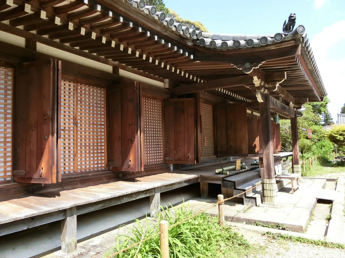 画像5