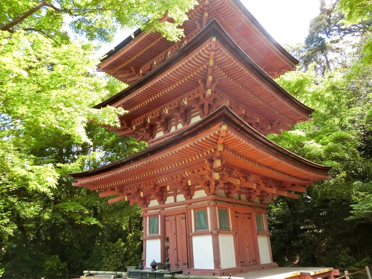 画像6
