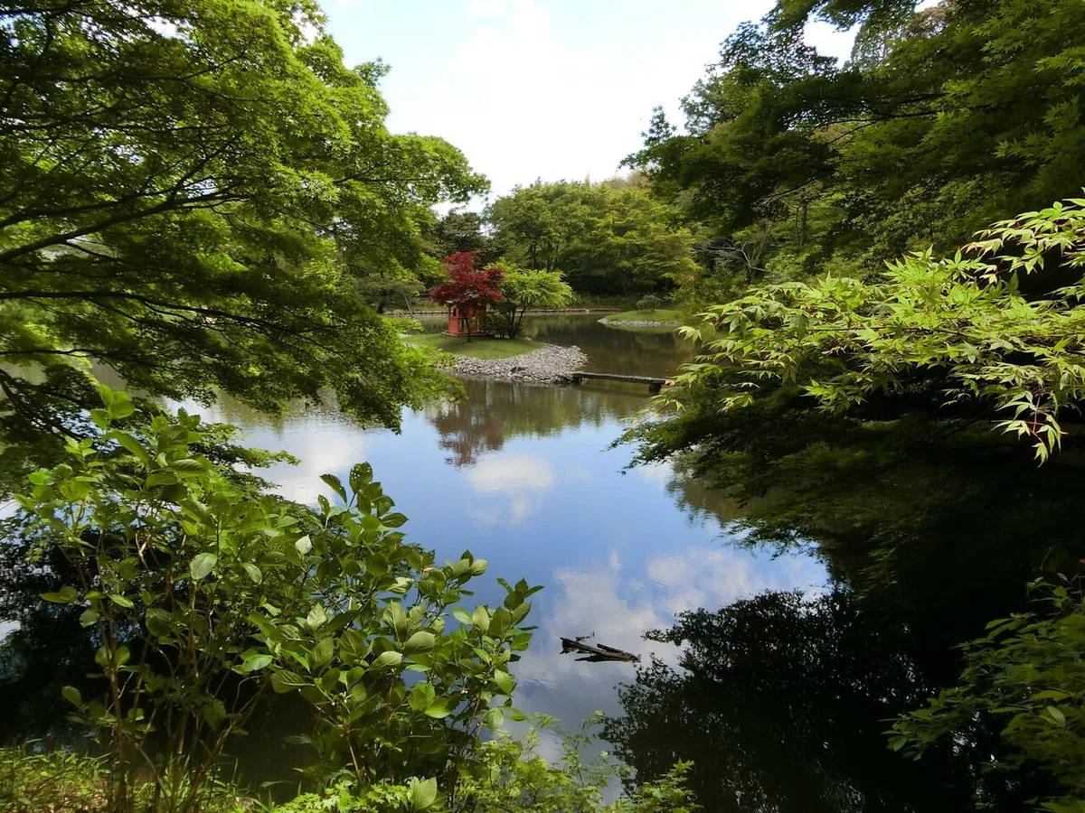 画像15