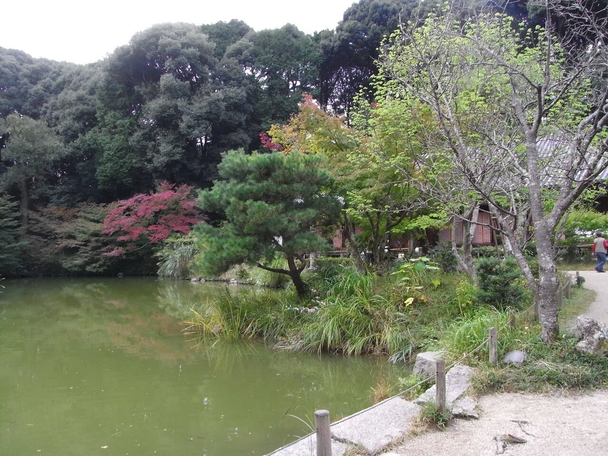 画像18