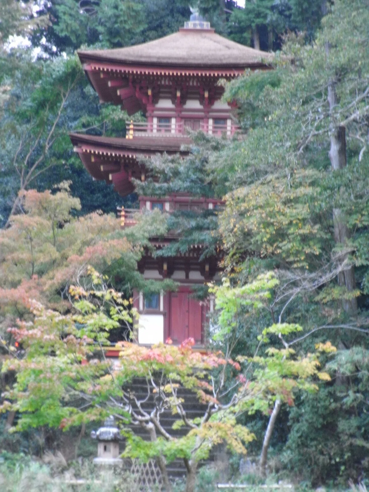 画像19