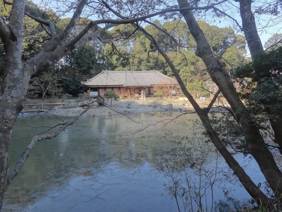 画像21