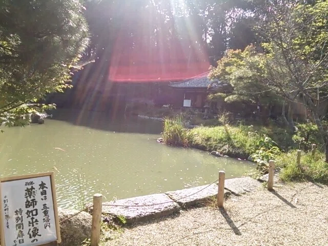 画像24