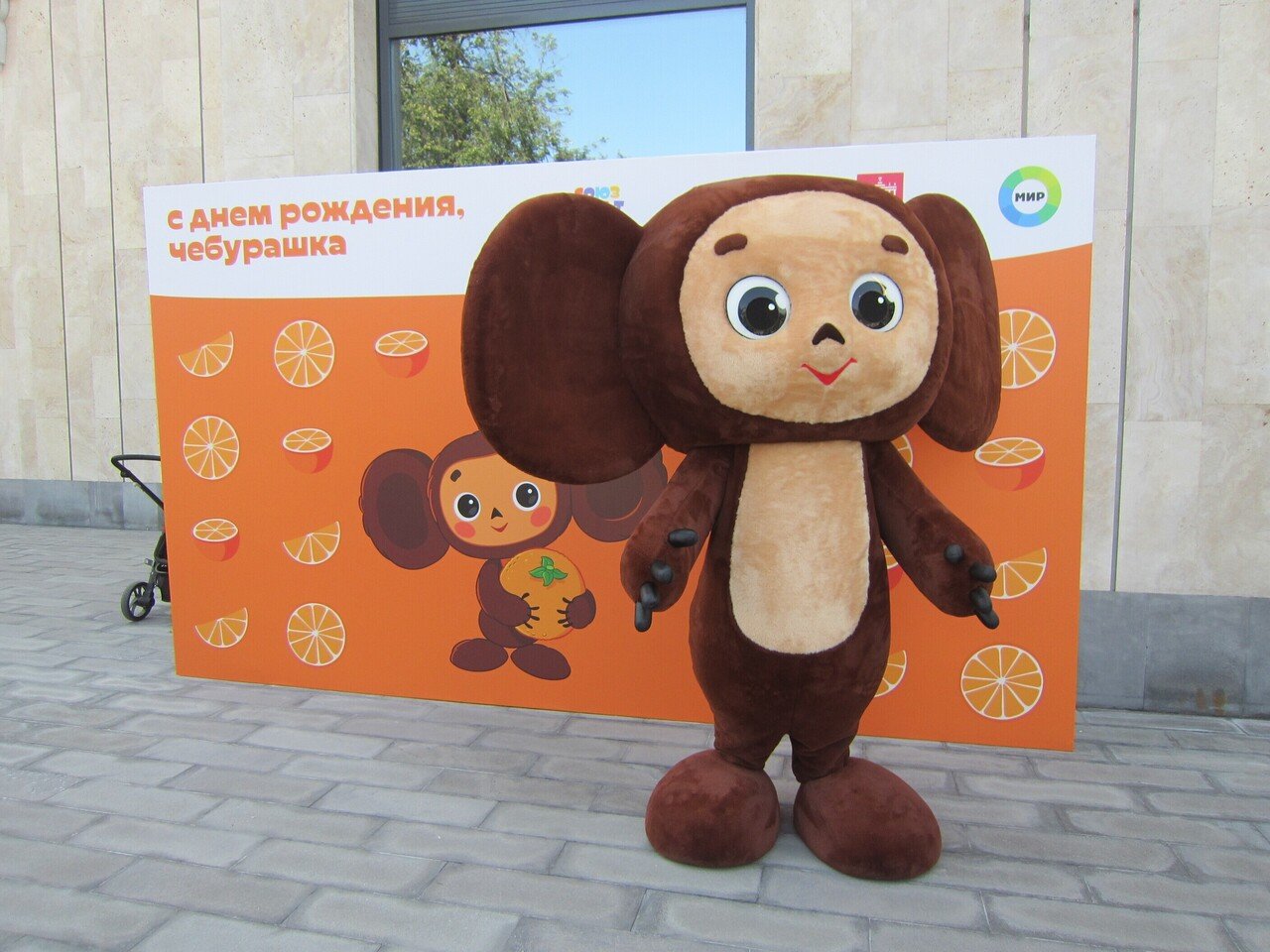 チェブラーシカの55歳の誕生日｜チェブラーシカ