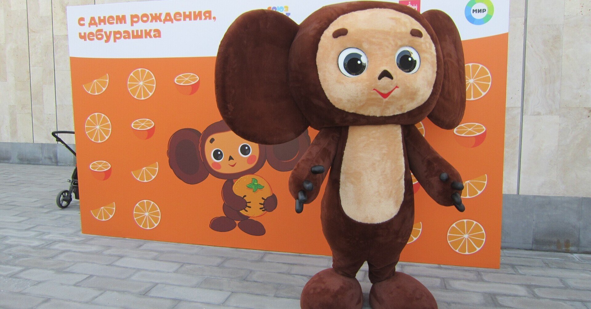 チェブラーシカの55歳の誕生日｜チェブラーシカ