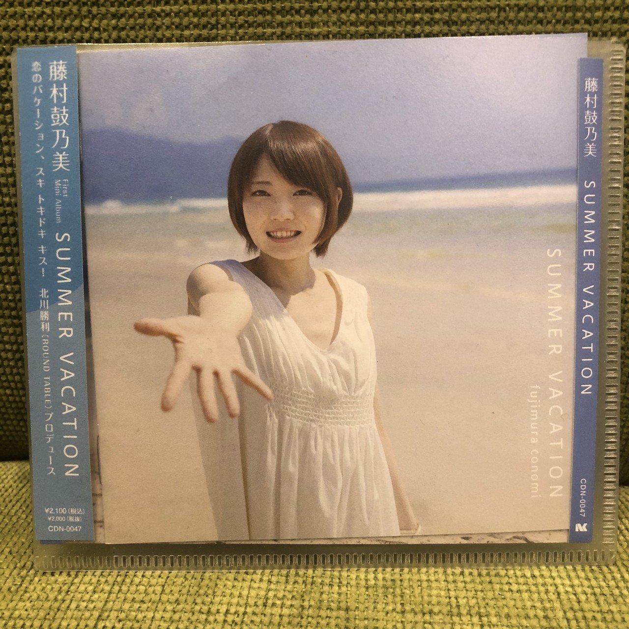 藤村鼓乃美 SUMMER VACATION