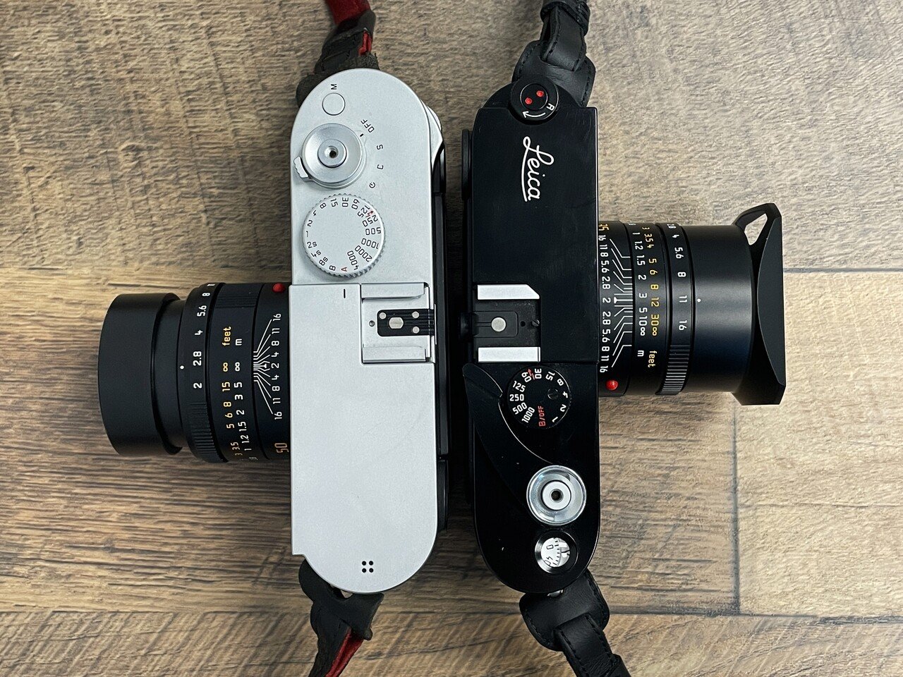 LEICA M (Type240)とアポズミがやってきた｜MOJA MOJA