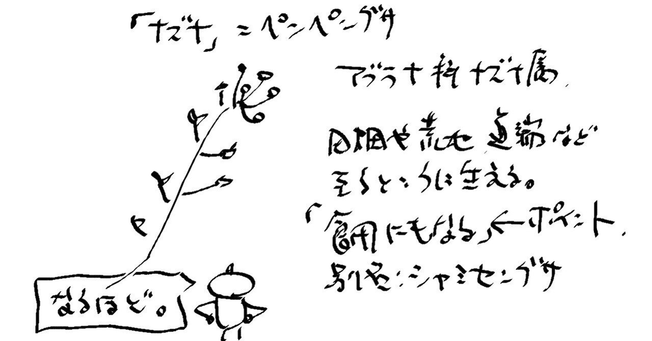 ぺんぺん草 も生えない 玉坂 Note ぺんぺん草 も生えない 玉坂 Note