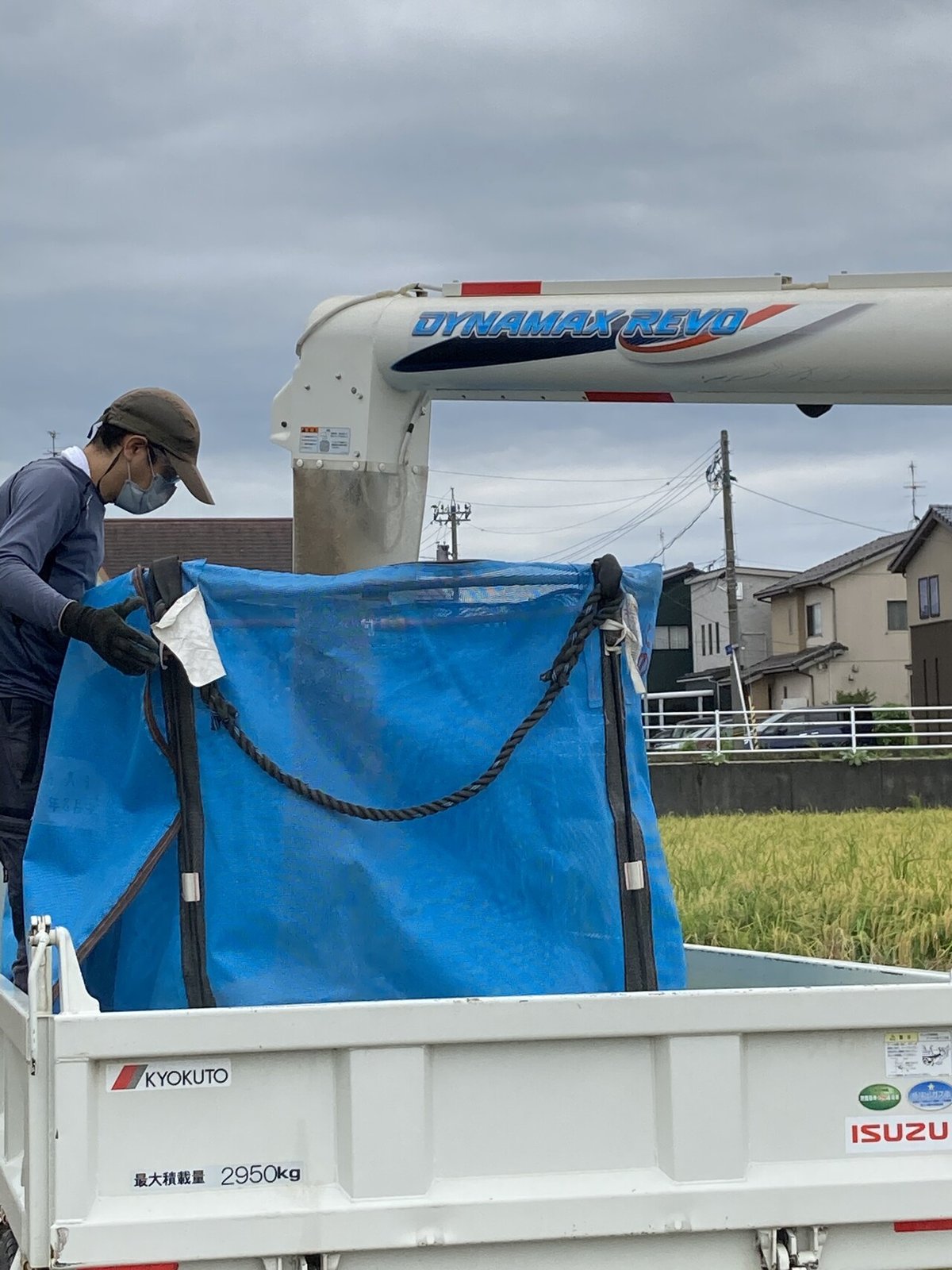 米籾いれ 働きものおしんちゃん 軽トラ 稲刈り
