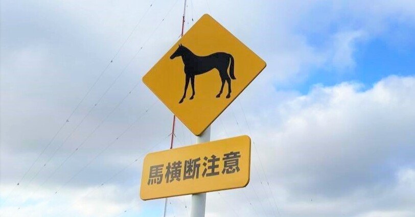 川崎市幸区】車道を馬が横断？早朝の多摩川に競走馬がいる風景