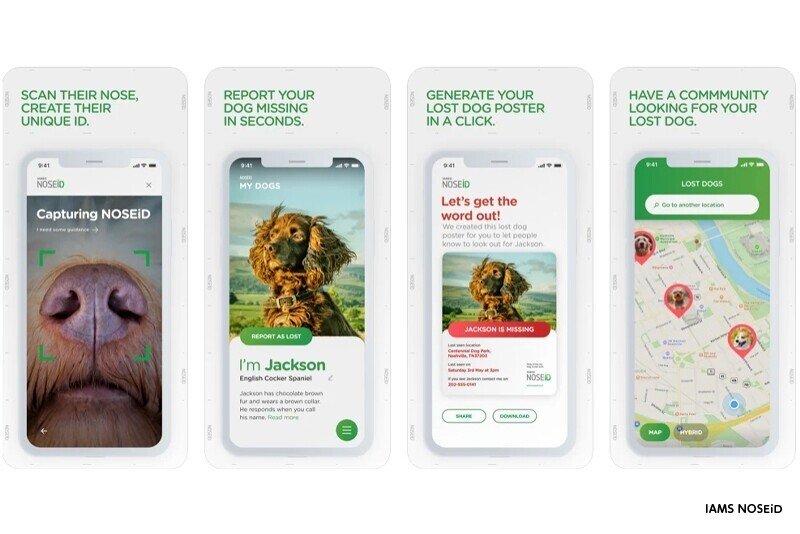 パンデミック以降 実はこんな問題も多発していたです 犬の迷子と誘拐 Noseid ノーズアイディー エンピツカフェ Note