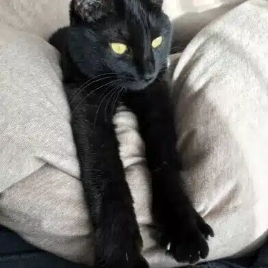 Kei.