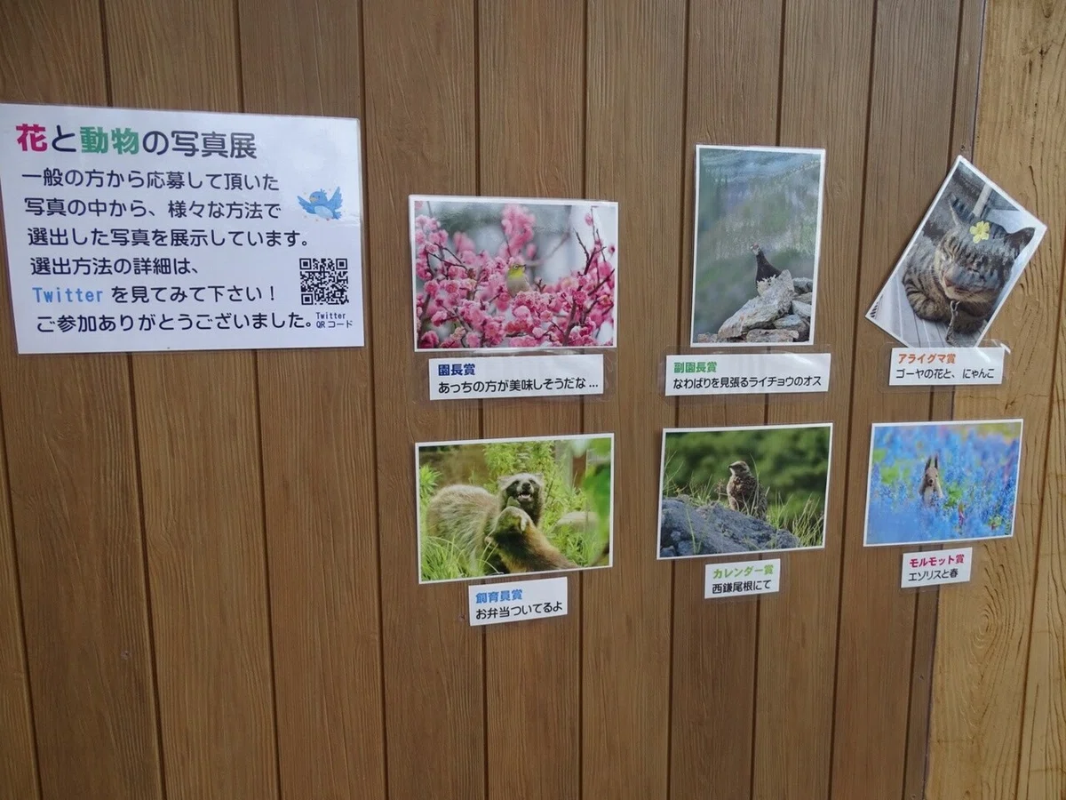 画像9