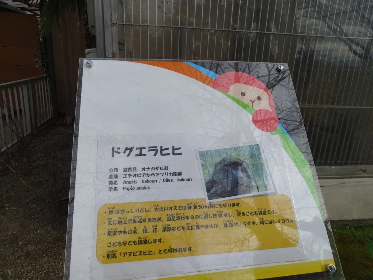 画像10