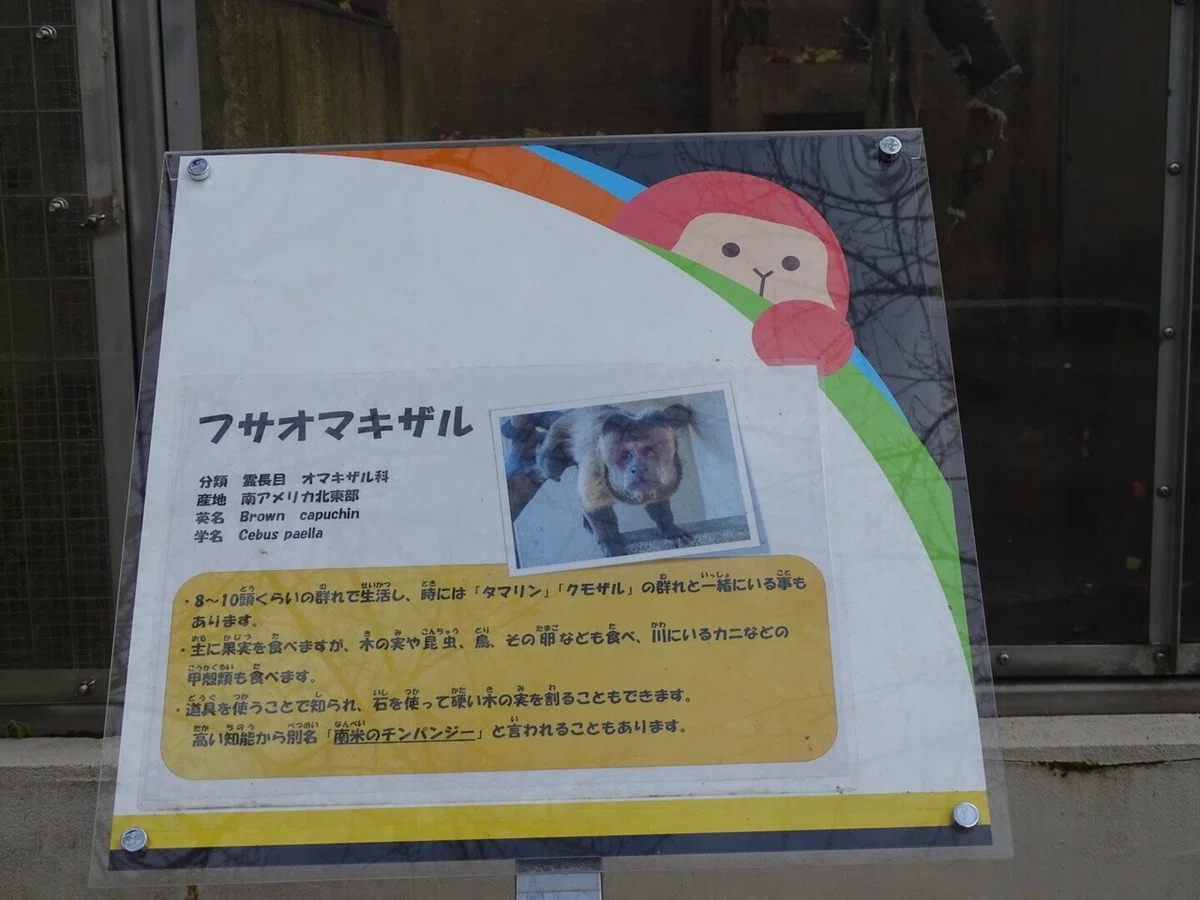 画像13