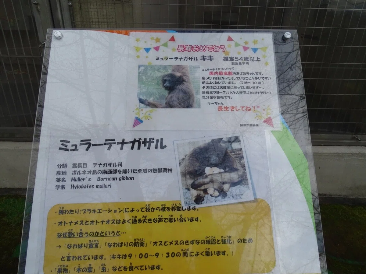 画像11