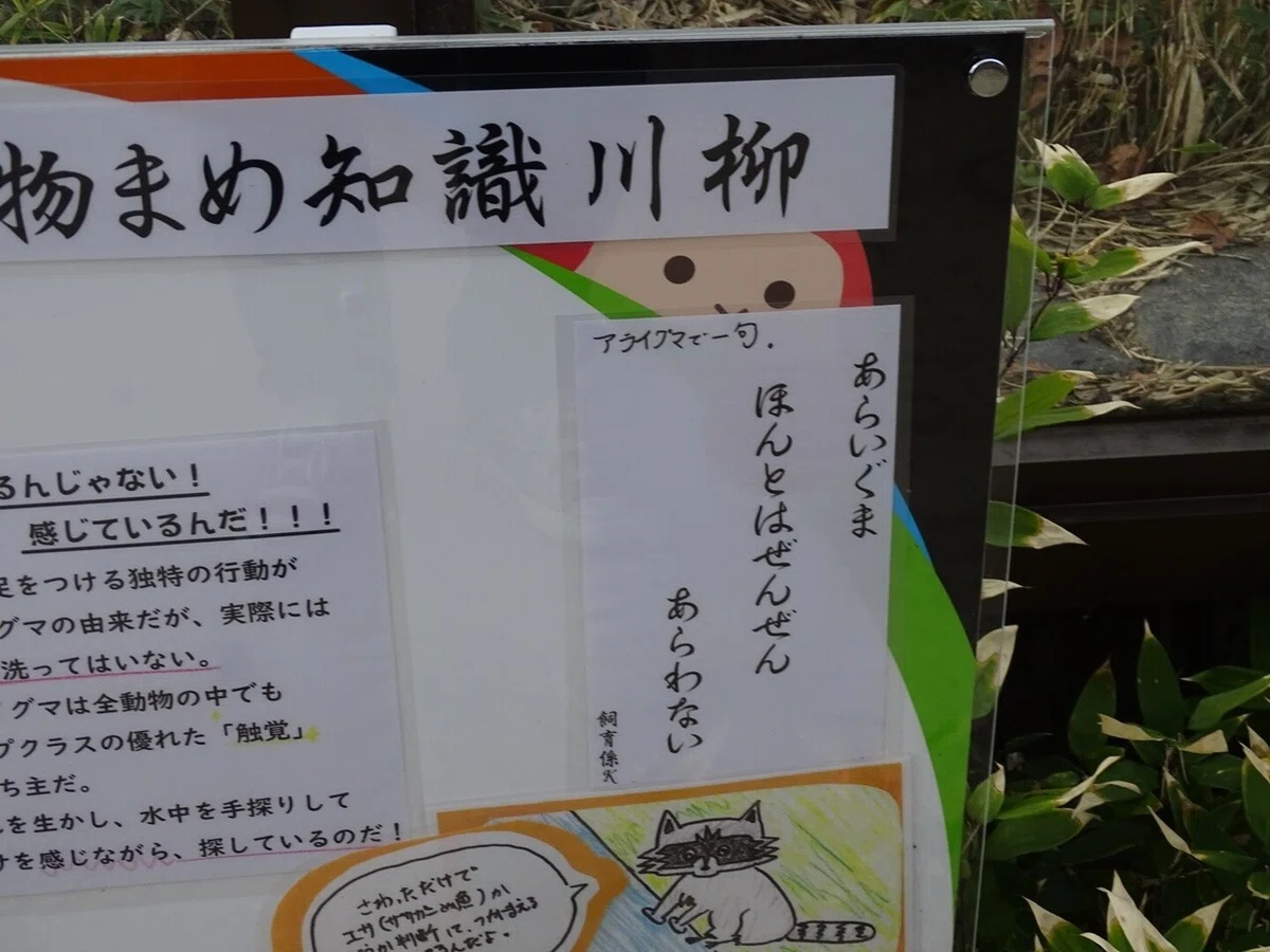 画像30