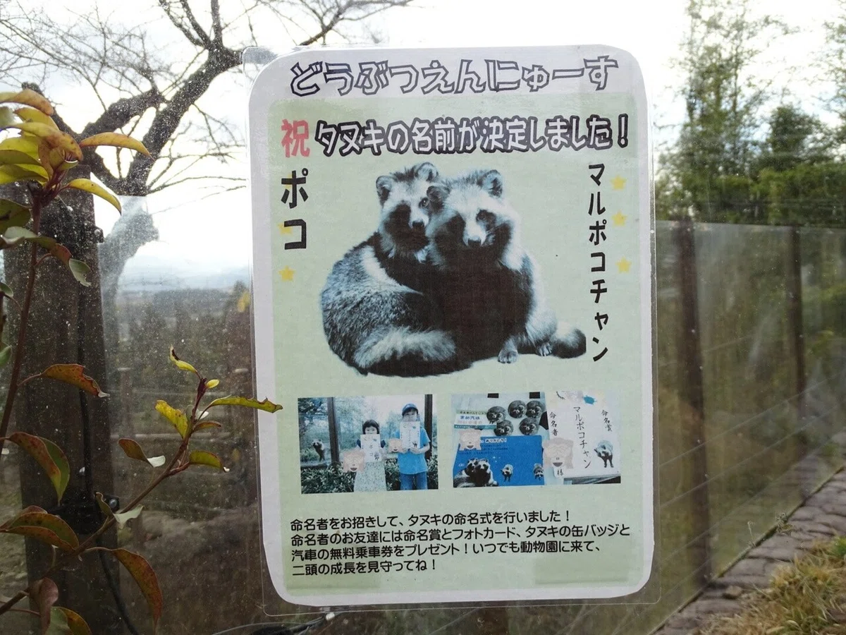 画像27