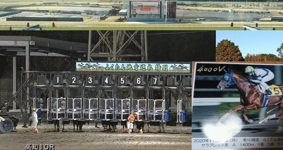 ふくたんの競馬予想