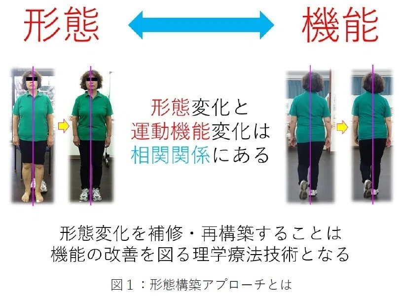 形態構築アプローチ～ 形態変化の再構築による運動機能障害の改善 ～【全２巻】 形態構築アプローチの概念と診方 その1｜からだ改善チャンネル