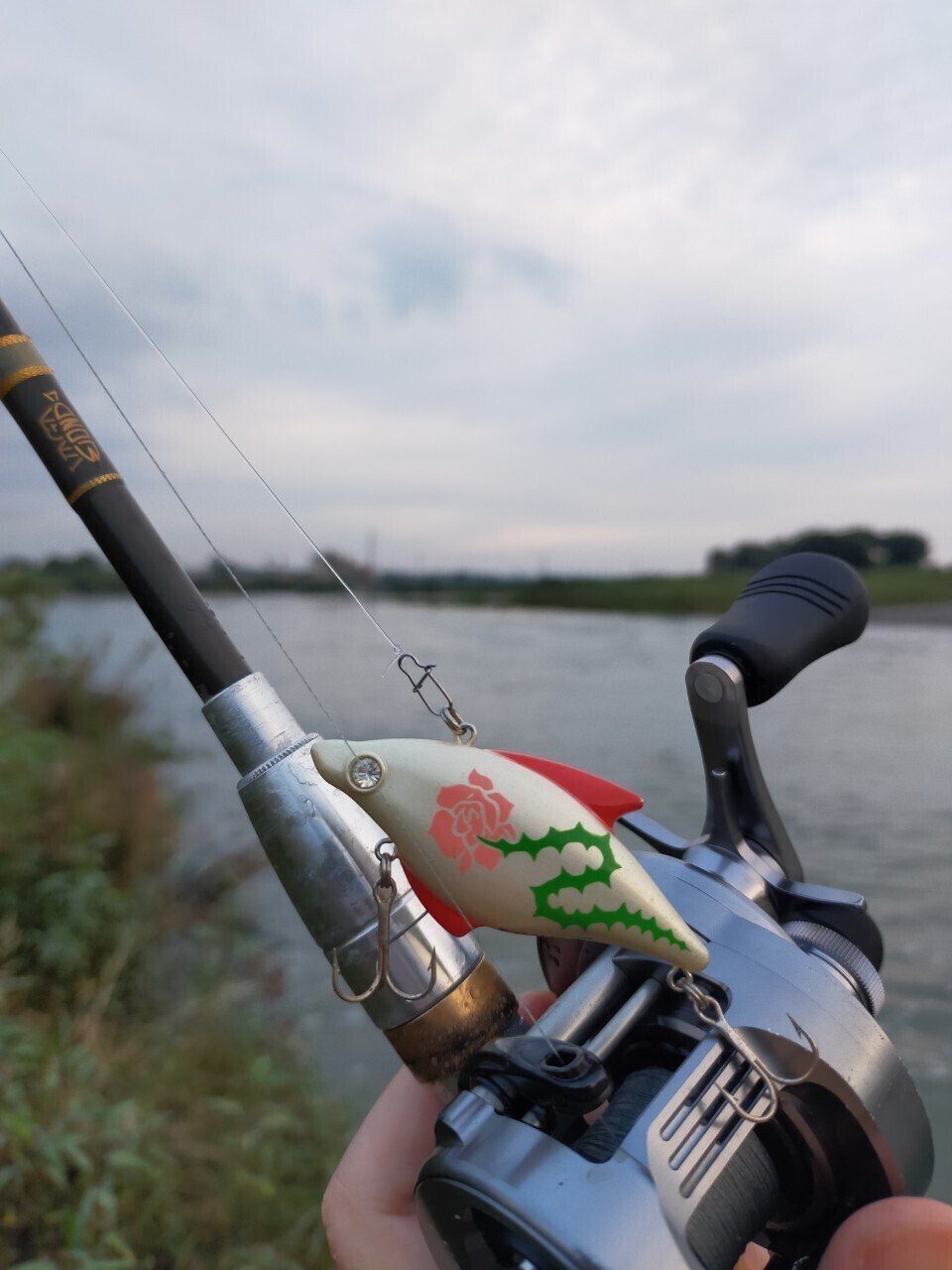 21 8 23 京都 桂川 ブラックバス釣行 もげ太郎 Note 21 8 23 京都 桂川 ブラックバス釣行 もげ太郎 Note