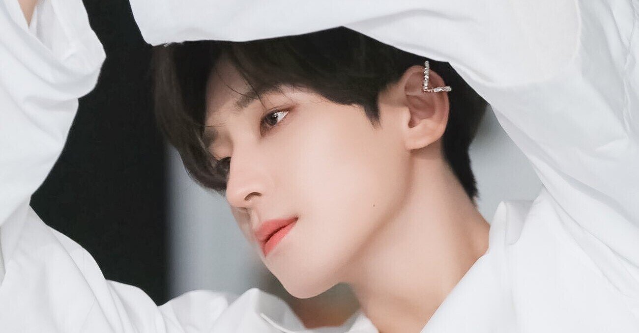 愛してやまない、ウォヌの話｜ちゃな