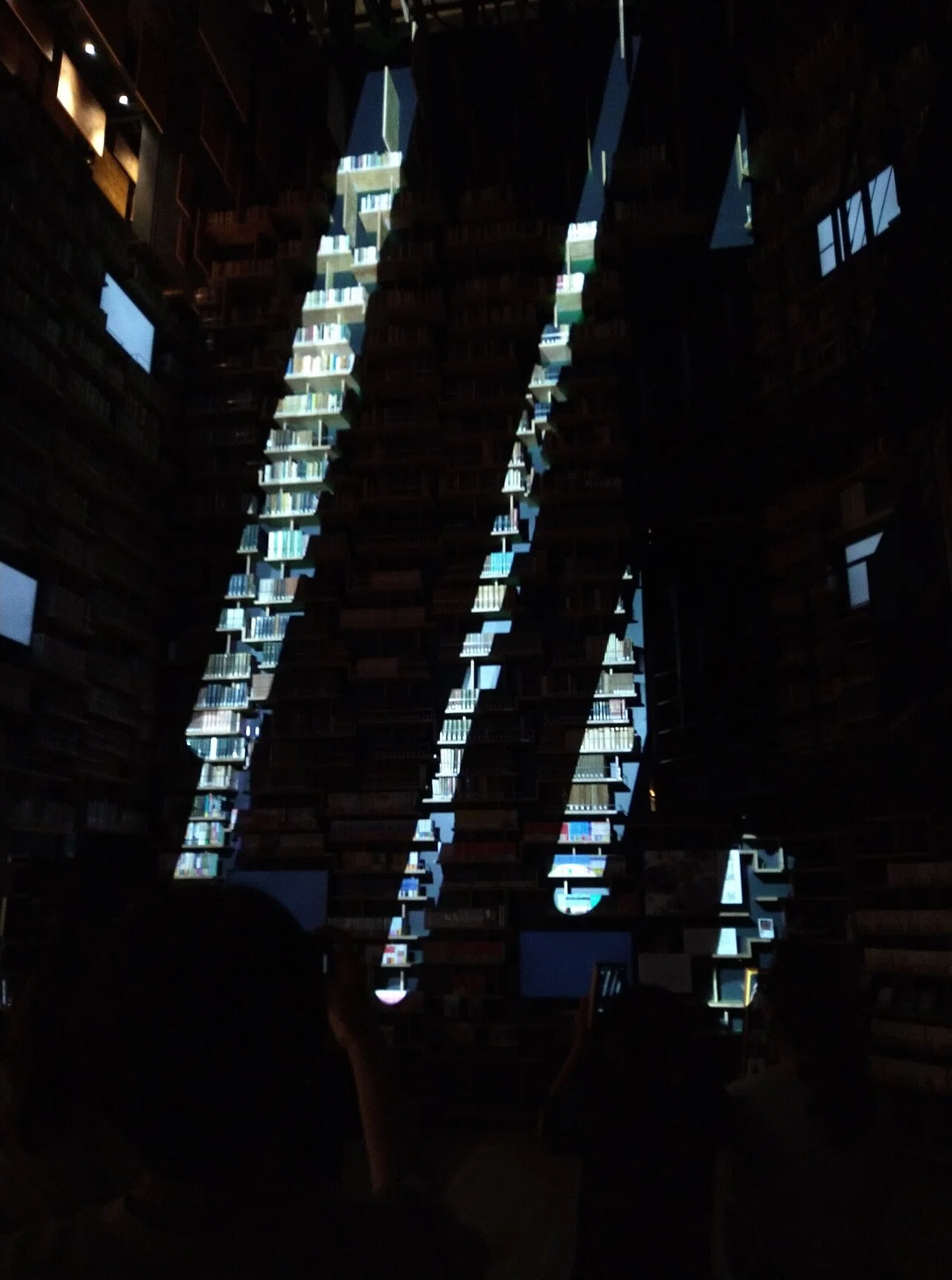 画像15