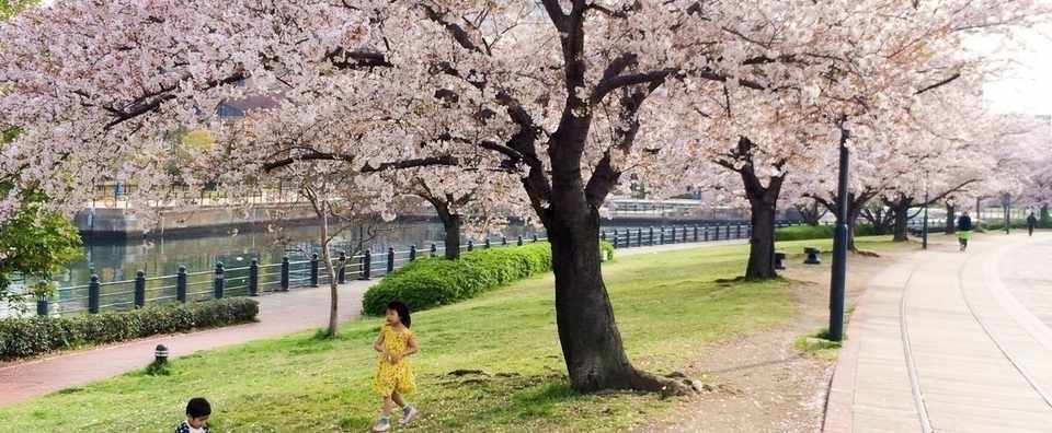 民放の４月改編キャッチコピーを全部集めてみた 菊池英夫 Note