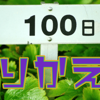 ふかわりょう と 内さま の話 なにがし Note