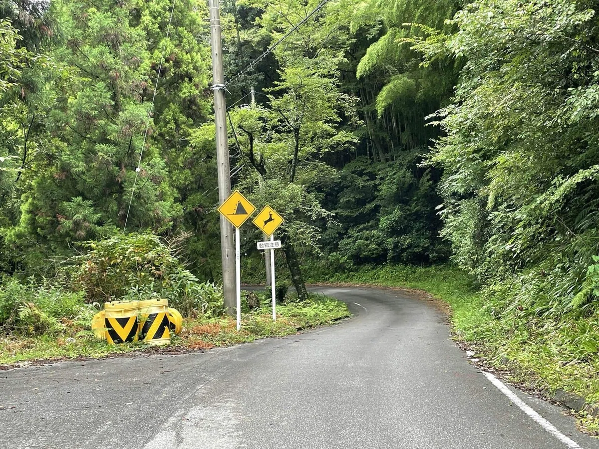 画像78