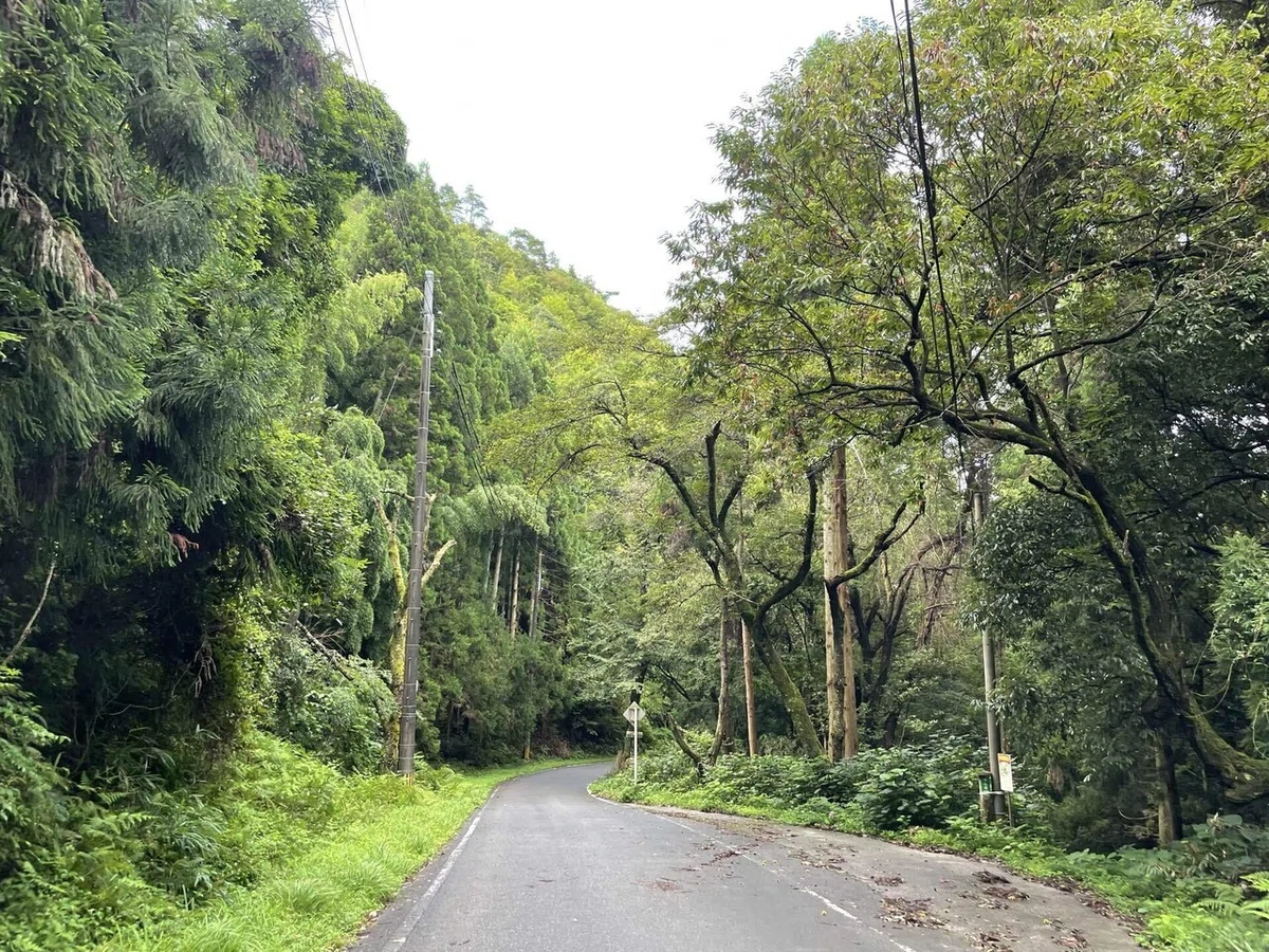 画像80
