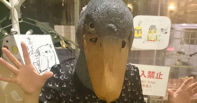 今日の日記 変な写真集 かおすぺしゃる Note