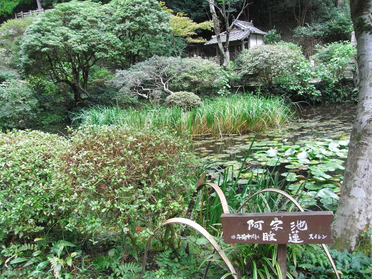 画像5