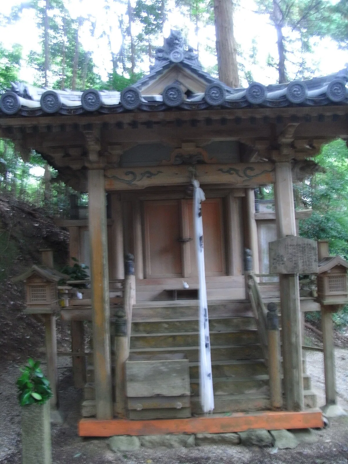 画像9