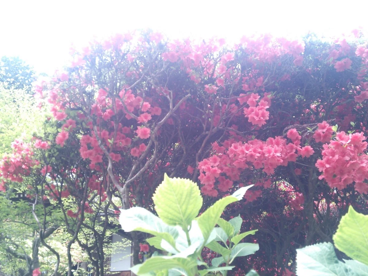 画像11