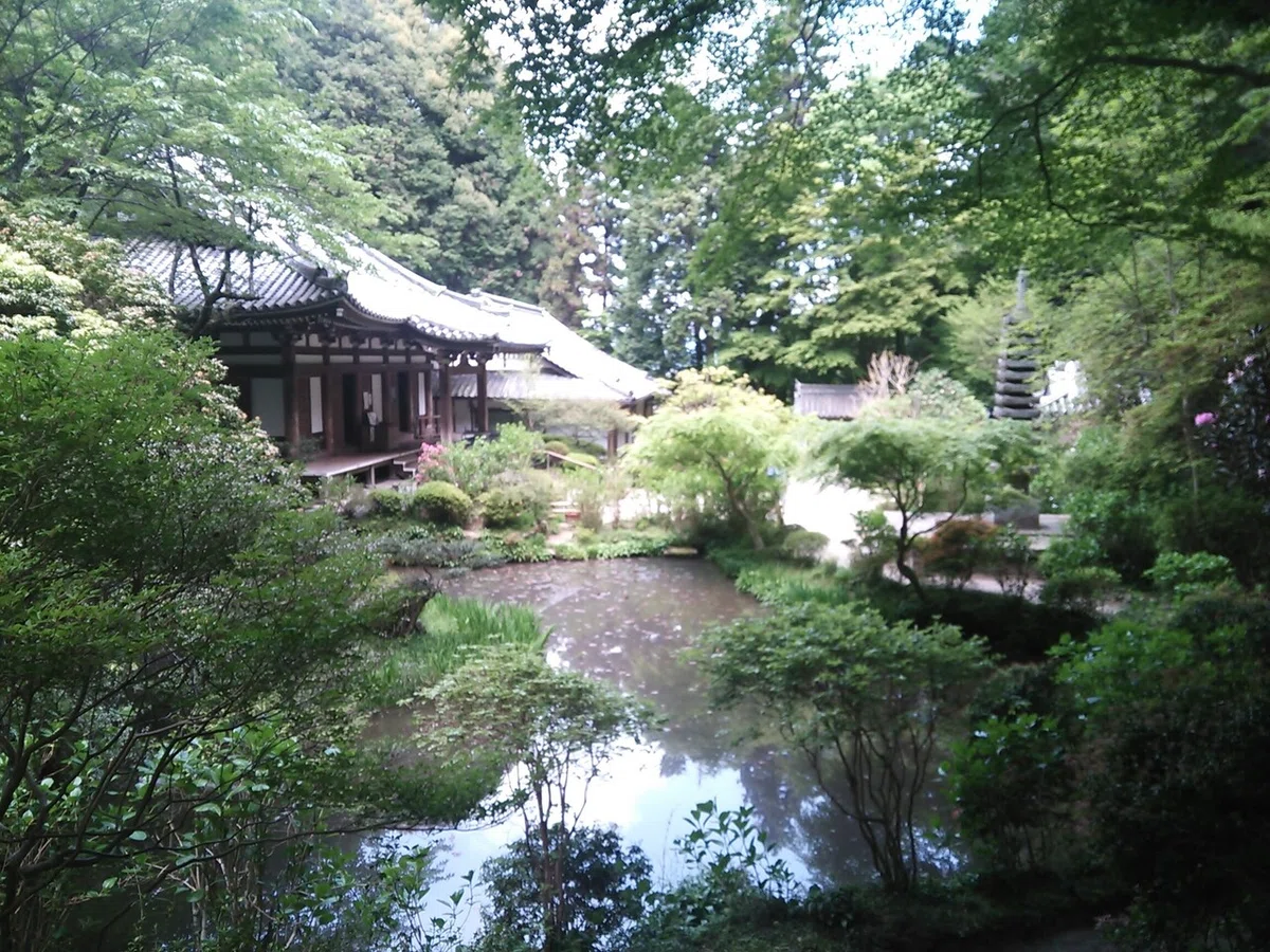 画像14