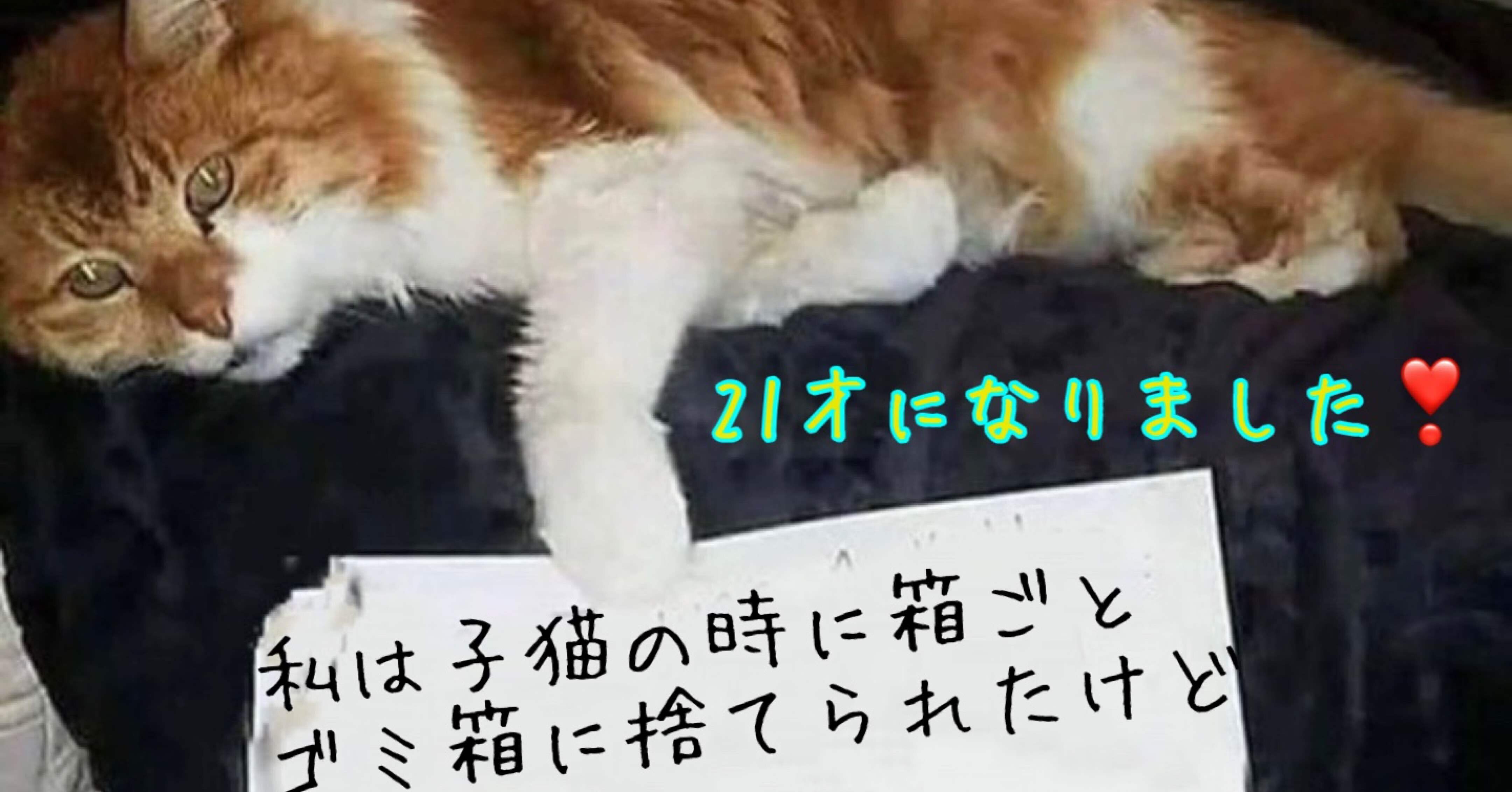 ゴミ箱からお宝 ノリノリ Note