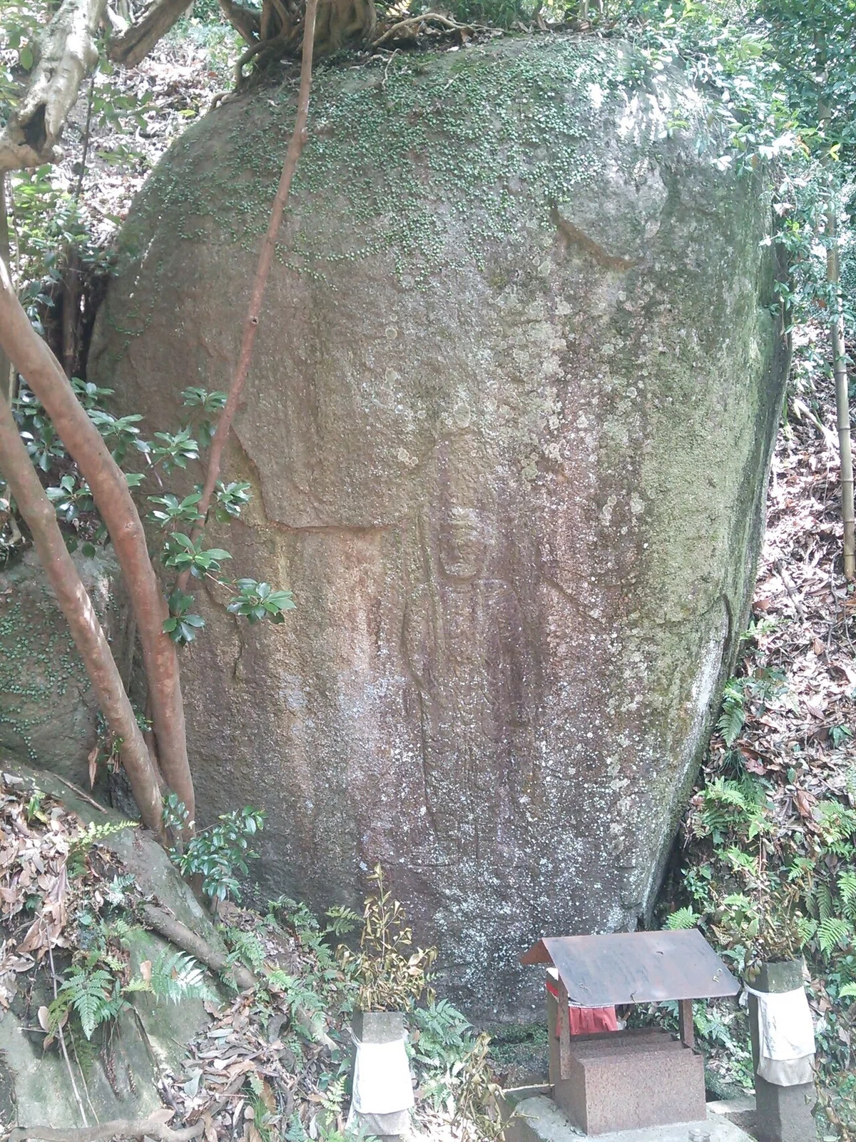 画像16