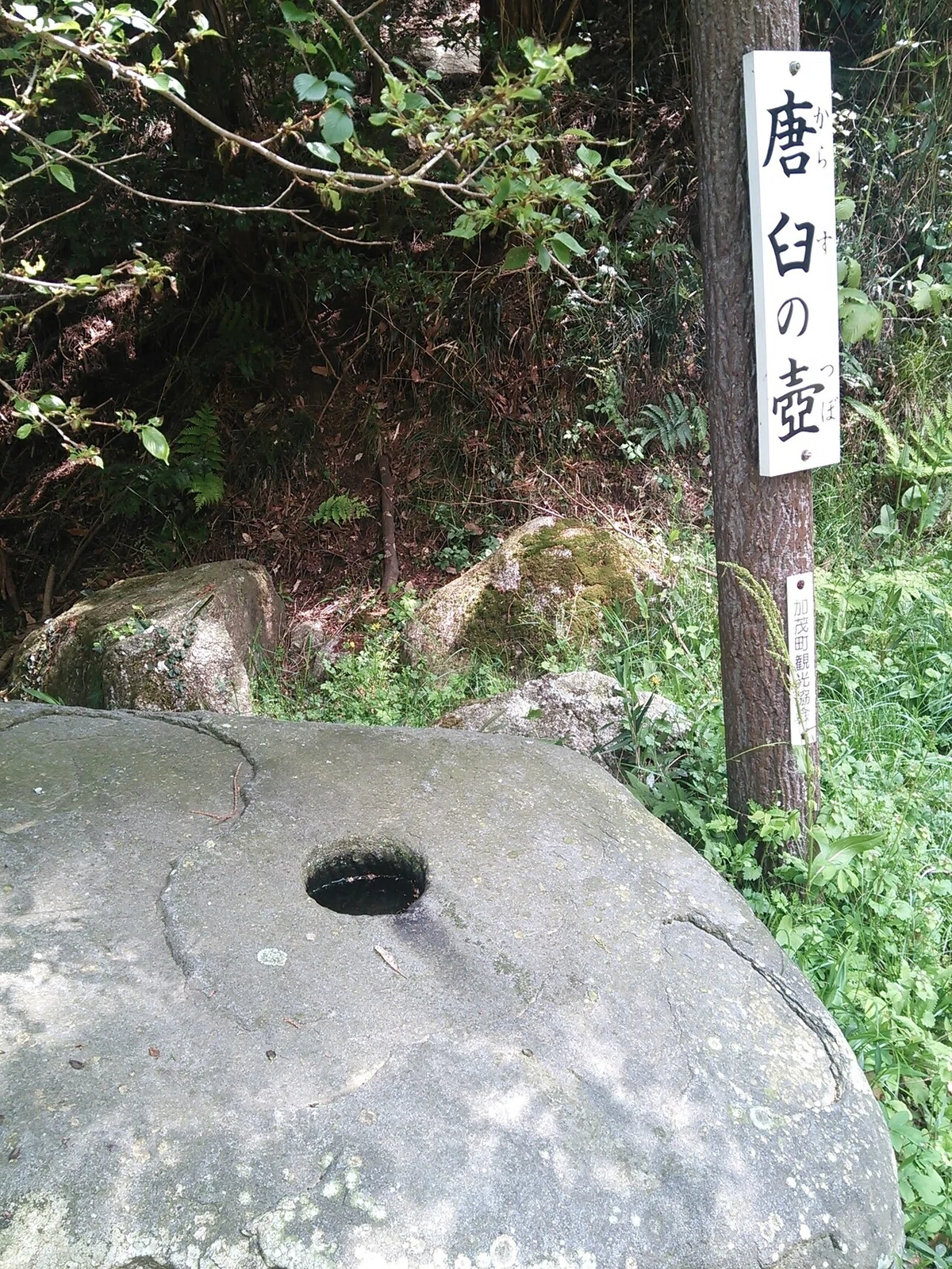 画像20