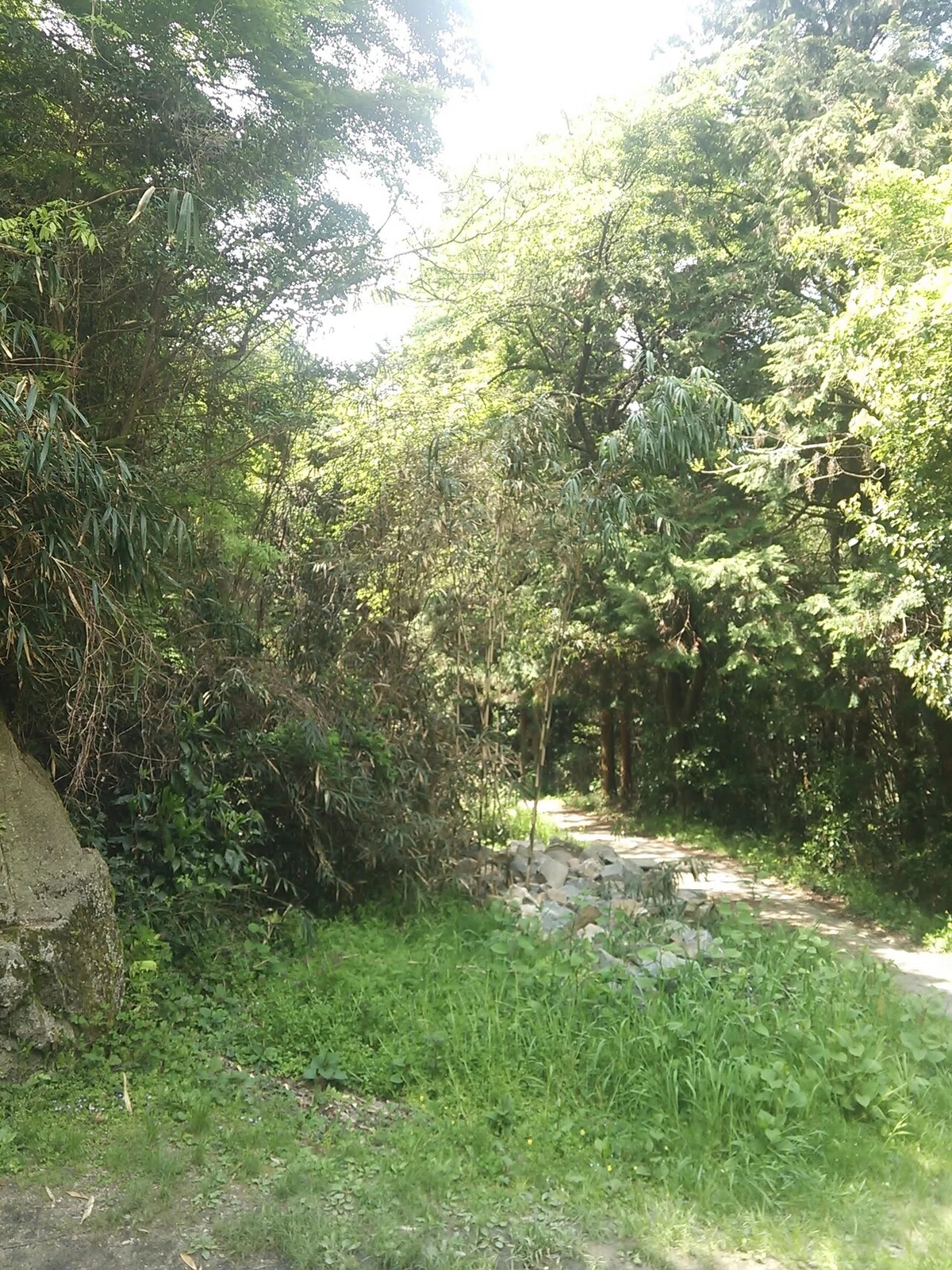 画像22