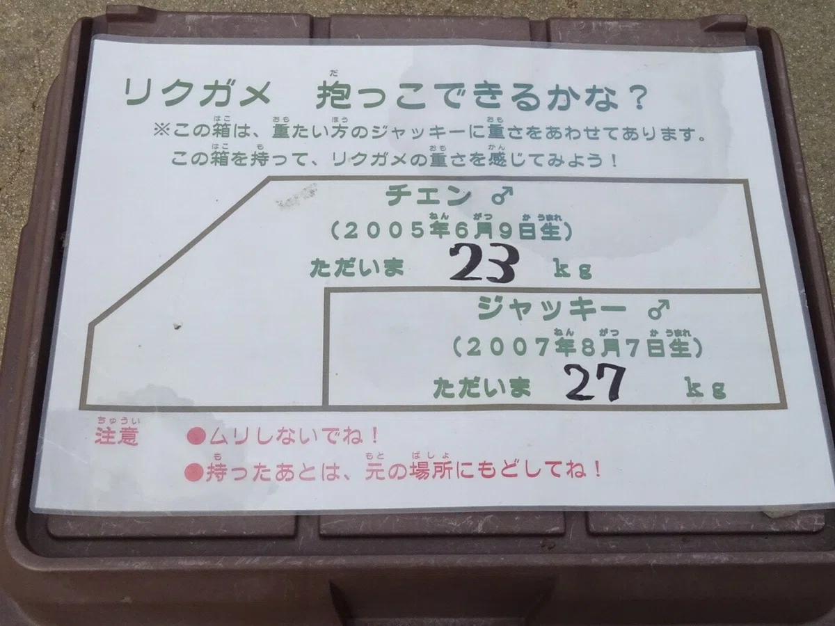 画像69