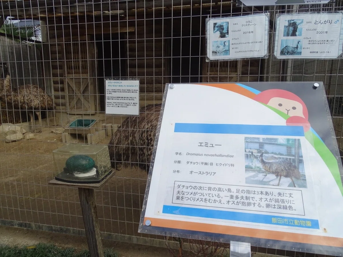 画像91