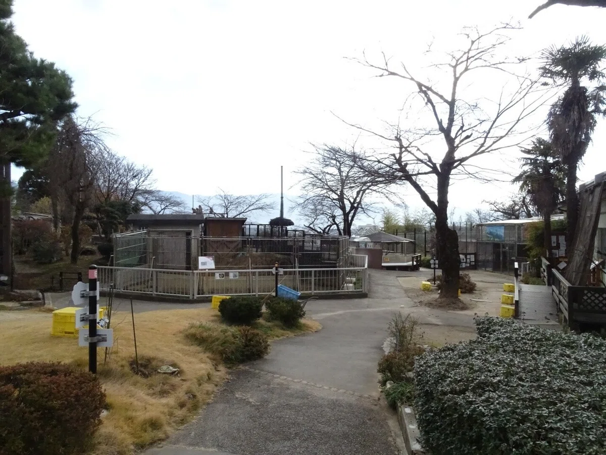 画像77