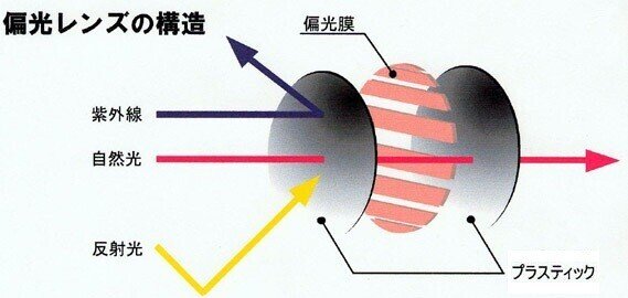 偏光イヌイ