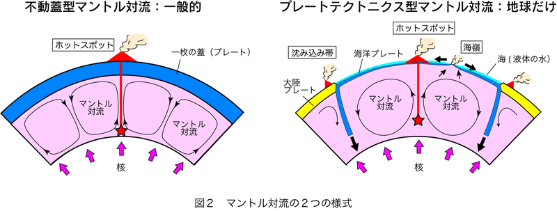 図3-２のコピー