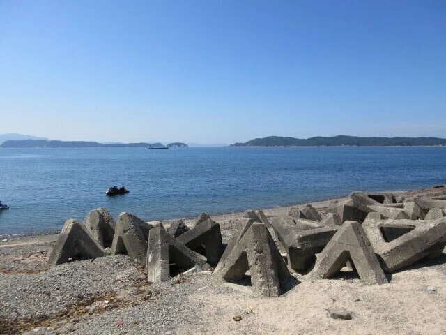 画像7