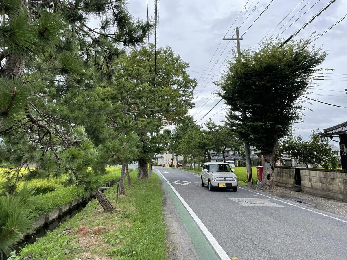 画像165