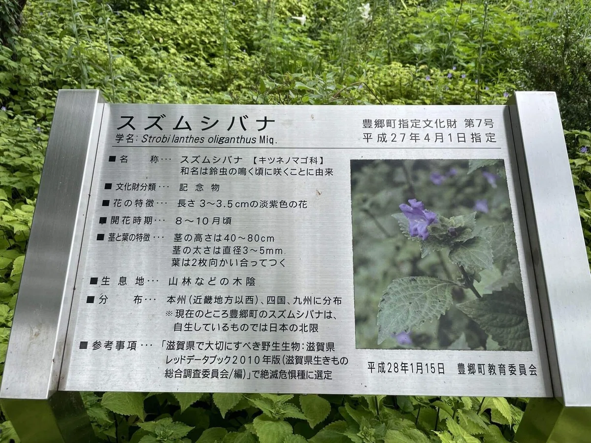 画像180